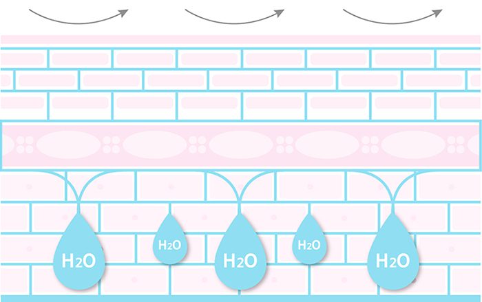 Unbreakable Moisture Barrier from Hibiscus